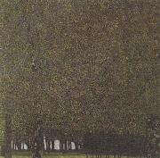 Gustav Klimt The Park (mk20) Sweden oil painting artist